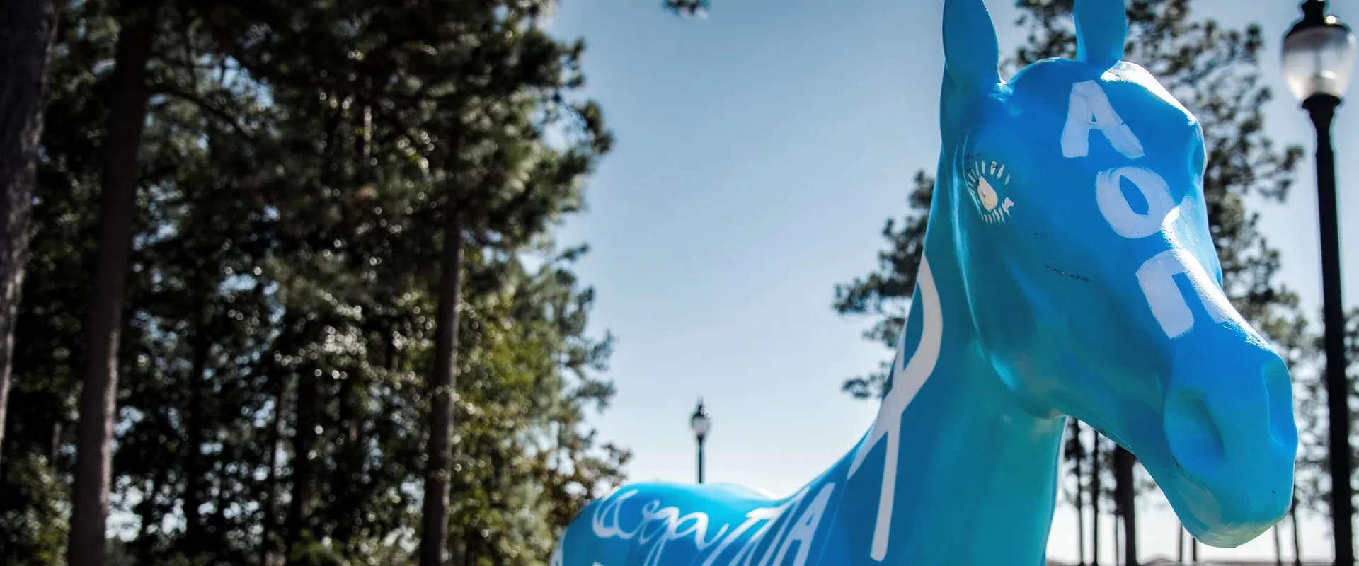 Greek Life Banner Image