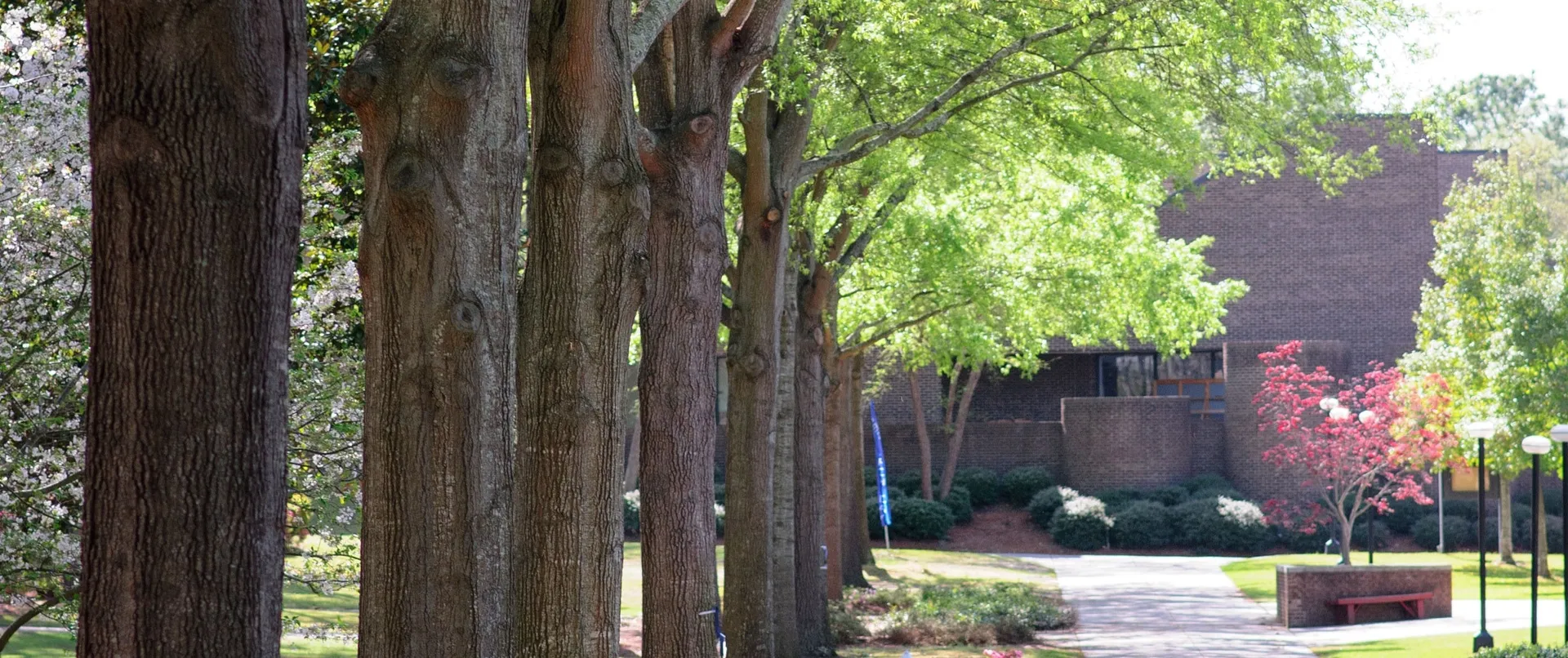 Operations Banner Image